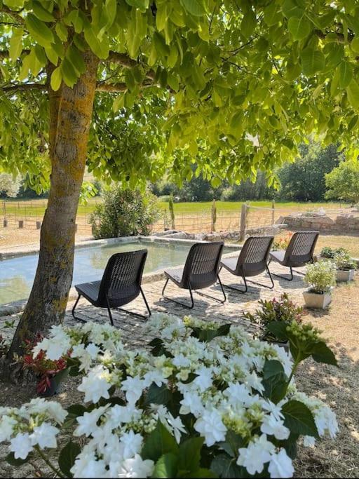 Quinta Vale Da Prata Villa Селорико да Бейра Екстериор снимка