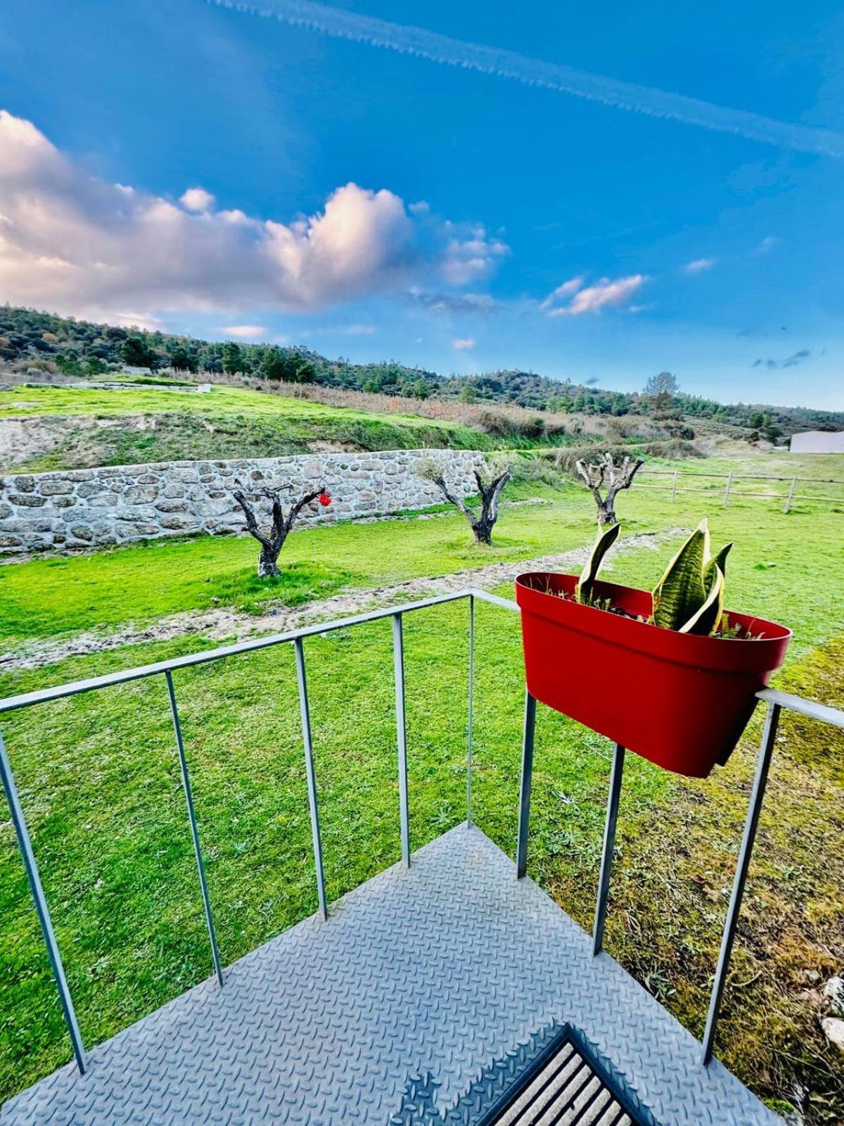 Quinta Vale Da Prata Villa Селорико да Бейра Екстериор снимка