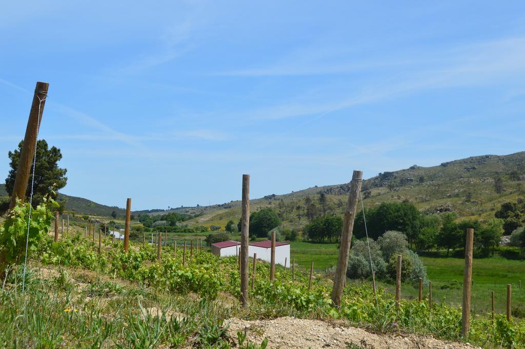 Quinta Vale Da Prata Villa Селорико да Бейра Екстериор снимка