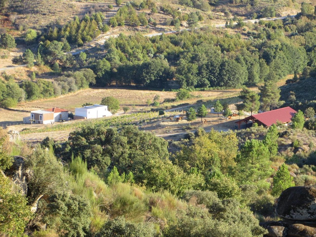 Quinta Vale Da Prata Villa Селорико да Бейра Екстериор снимка
